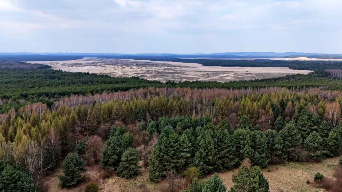 Pustynia Błędowska – widok z lotu ptaka na granicę lasu i obszaru piasków