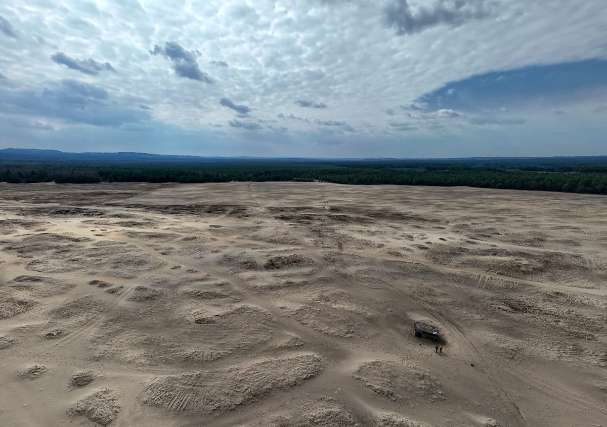 Pustynia Błędowska – krajobraz największego obszaru piasków śródlądowych w Polsce
