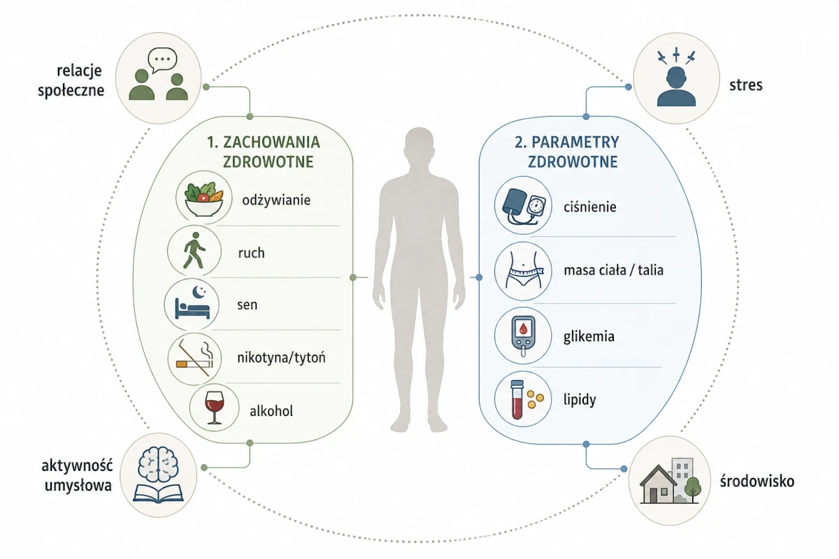 Infografika przedstawiająca zachowania zdrowotne, mierzalne parametry zdrowia oraz czynniki kontekstowe wpływające na zdrowie człowieka.