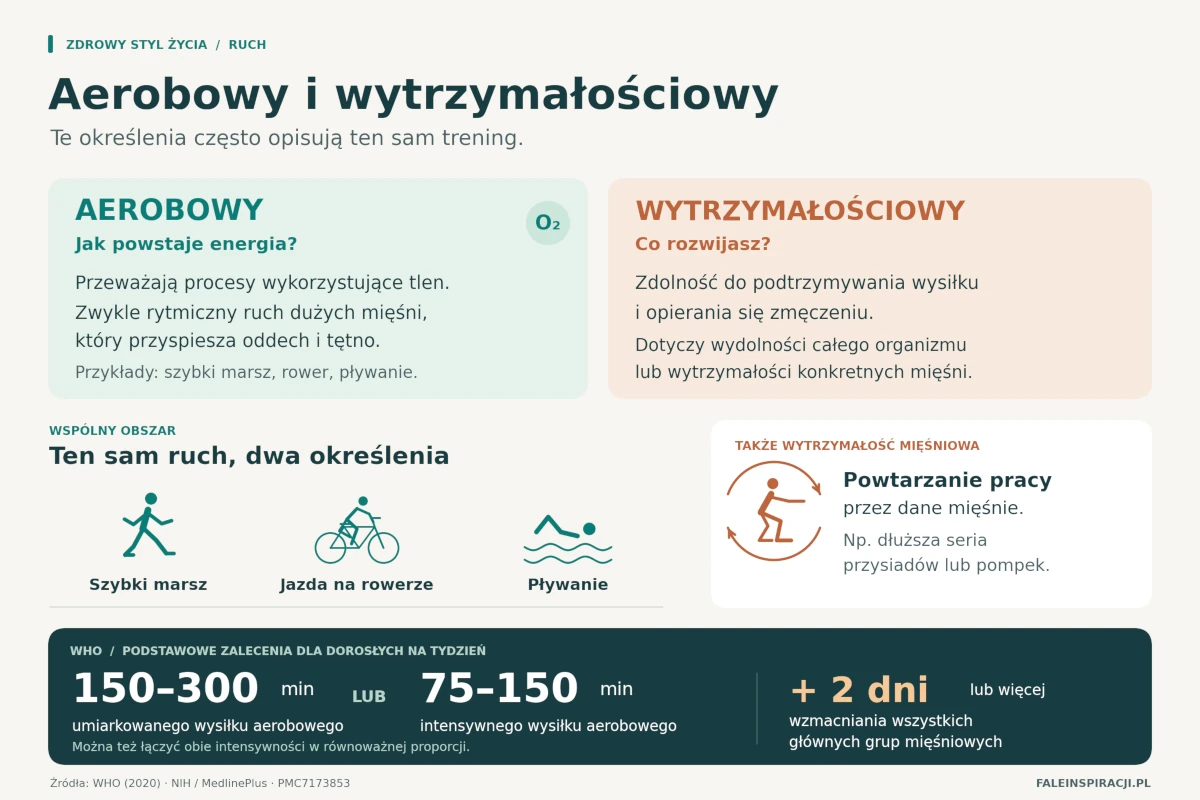Infografika porównująca wysiłek aerobowy i wytrzymałościowy, z przykładami marszu, jazdy na rowerze i pływania oraz tygodniowymi zaleceniami WHO dla dorosłych.