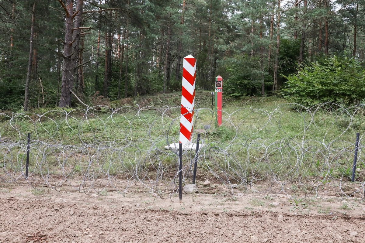 Polski i białoruski słup graniczny w lesie oraz zapora z drutu ostrzowego